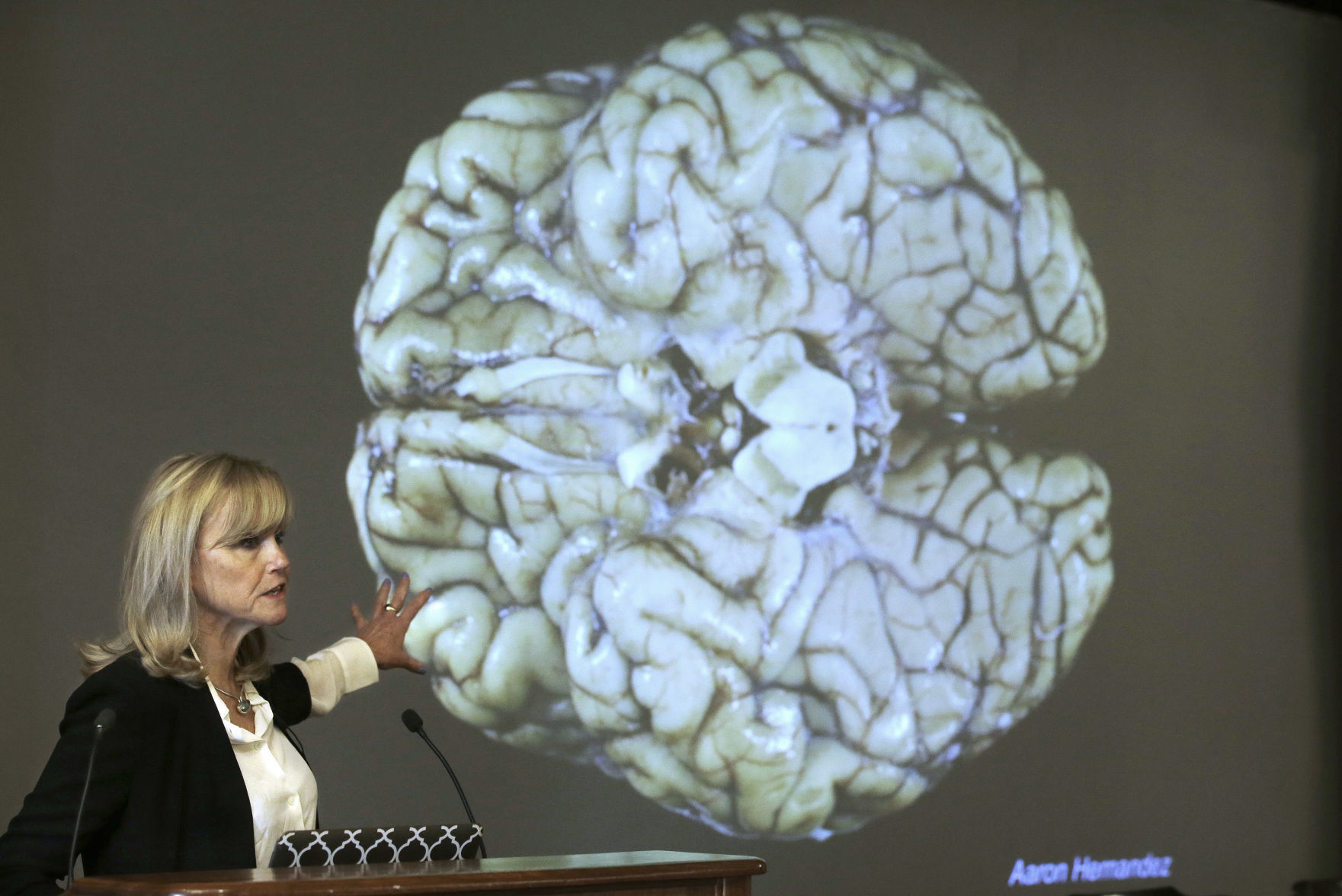Dr. Ann McKee